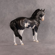 Moonlight Glow OOAK FCM Andalusian by Madi Wiseman EQ26