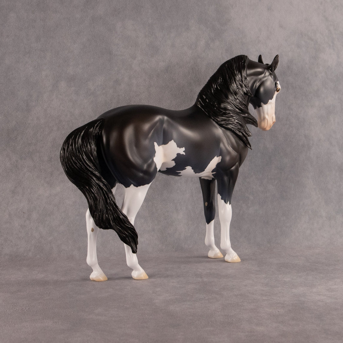 Moonlight Glow OOAK FCM Andalusian by Madi Wiseman EQ26
