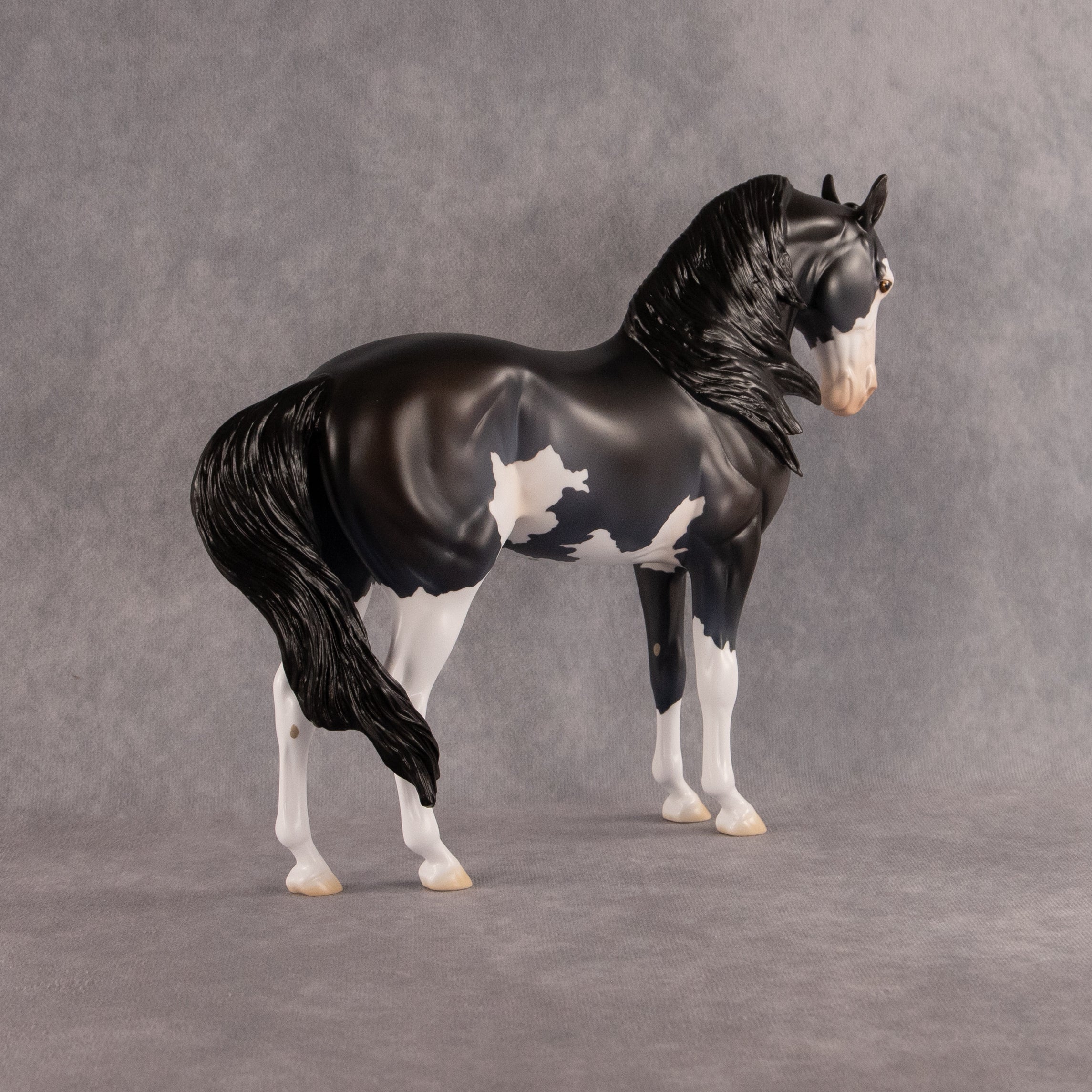 Moonlight Glow OOAK FCM Andalusian by Madi Wiseman EQ26