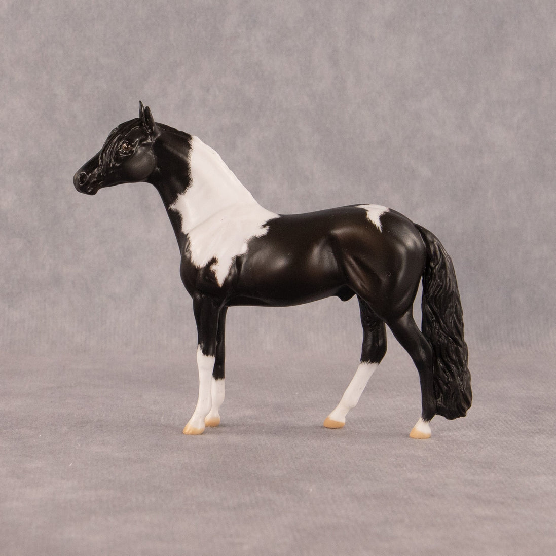 Moose Trax OOAK Chip Andalusian by Madi Wiseman EQ26