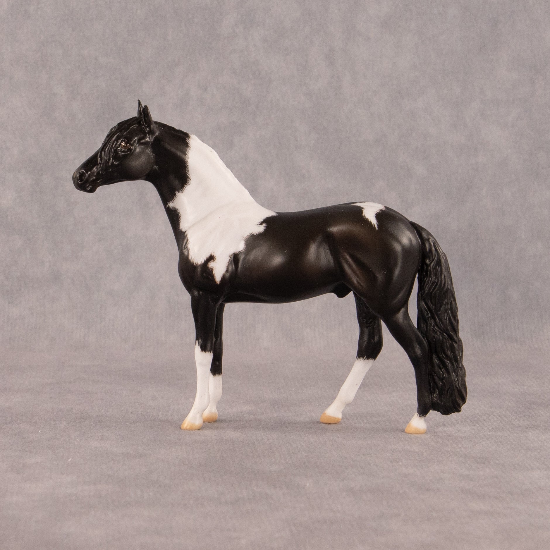 Moose Trax OOAK Chip Andalusian by Madi Wiseman EQ26