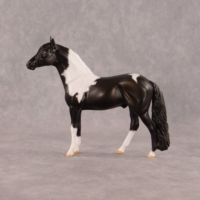 Moose Trax OOAK Chip Andalusian by Madi Wiseman EQ26