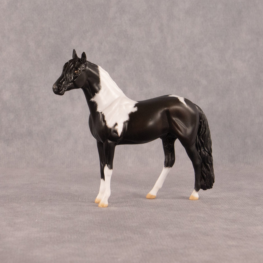 Moose Trax OOAK Chip Andalusian by Madi Wiseman EQ26