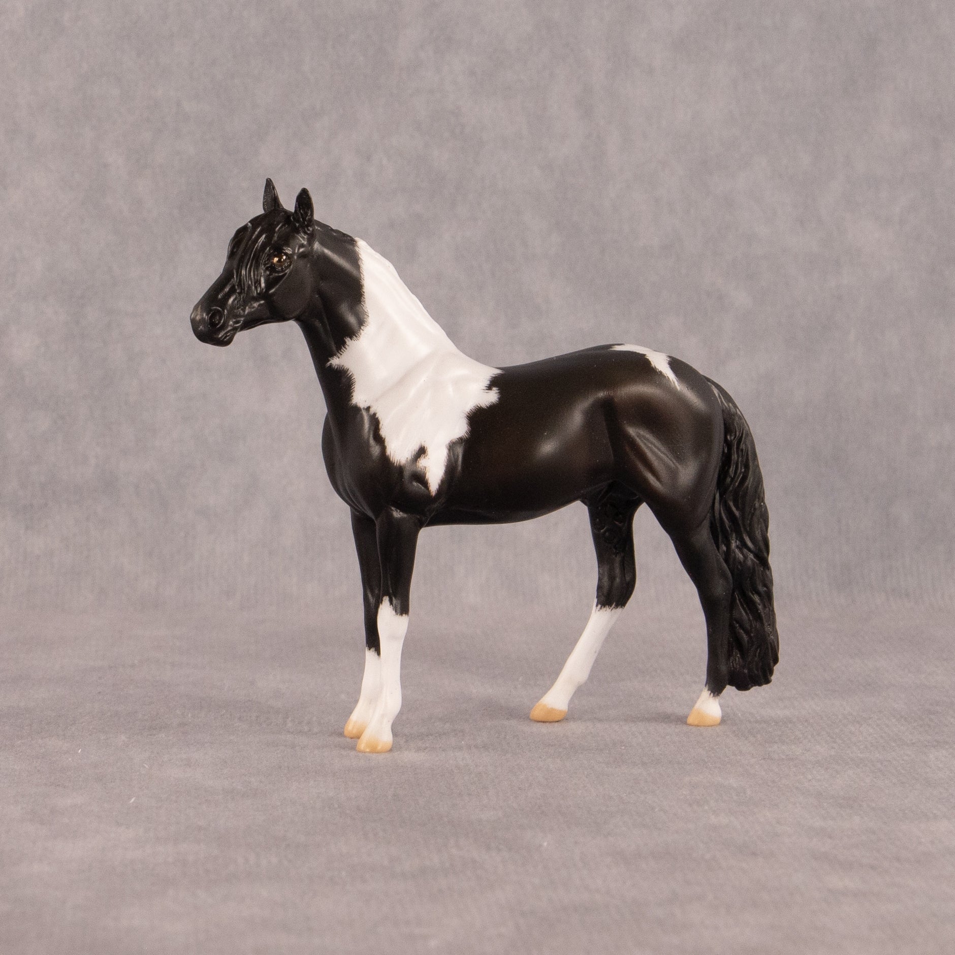 Moose Trax OOAK Chip Andalusian by Madi Wiseman EQ26
