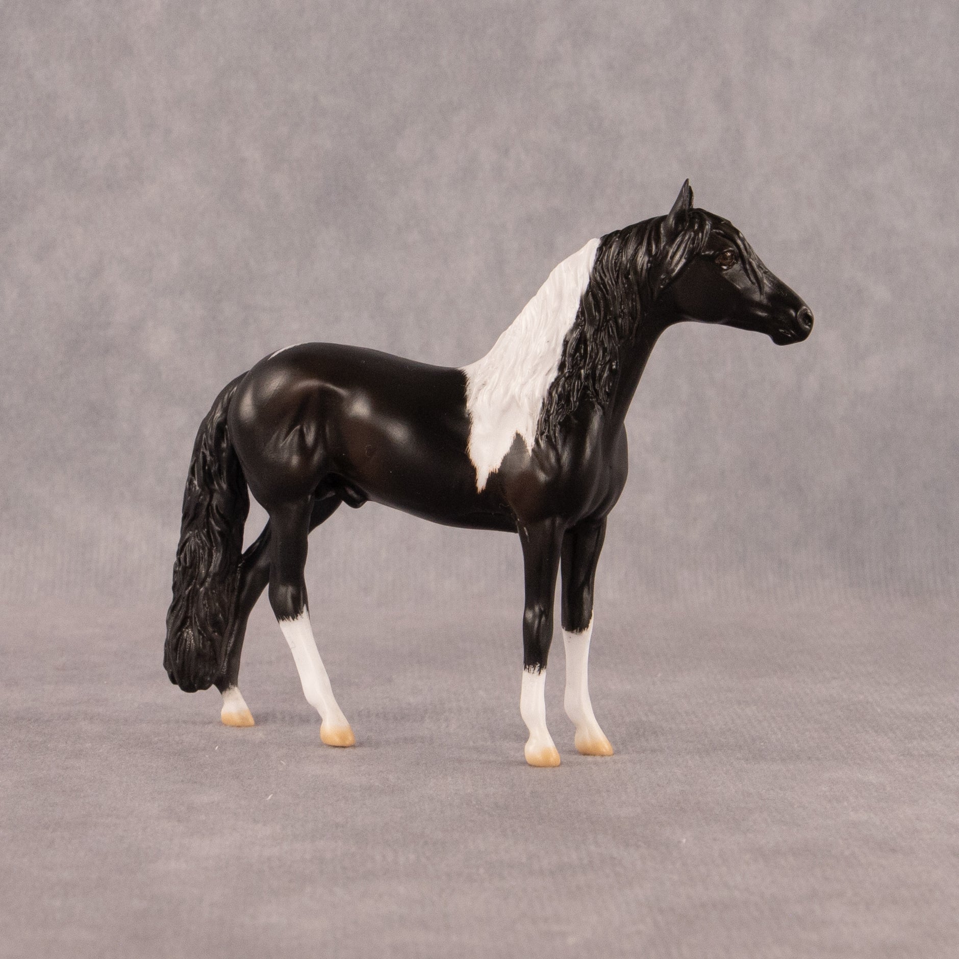 Moose Trax OOAK Chip Andalusian by Madi Wiseman EQ26