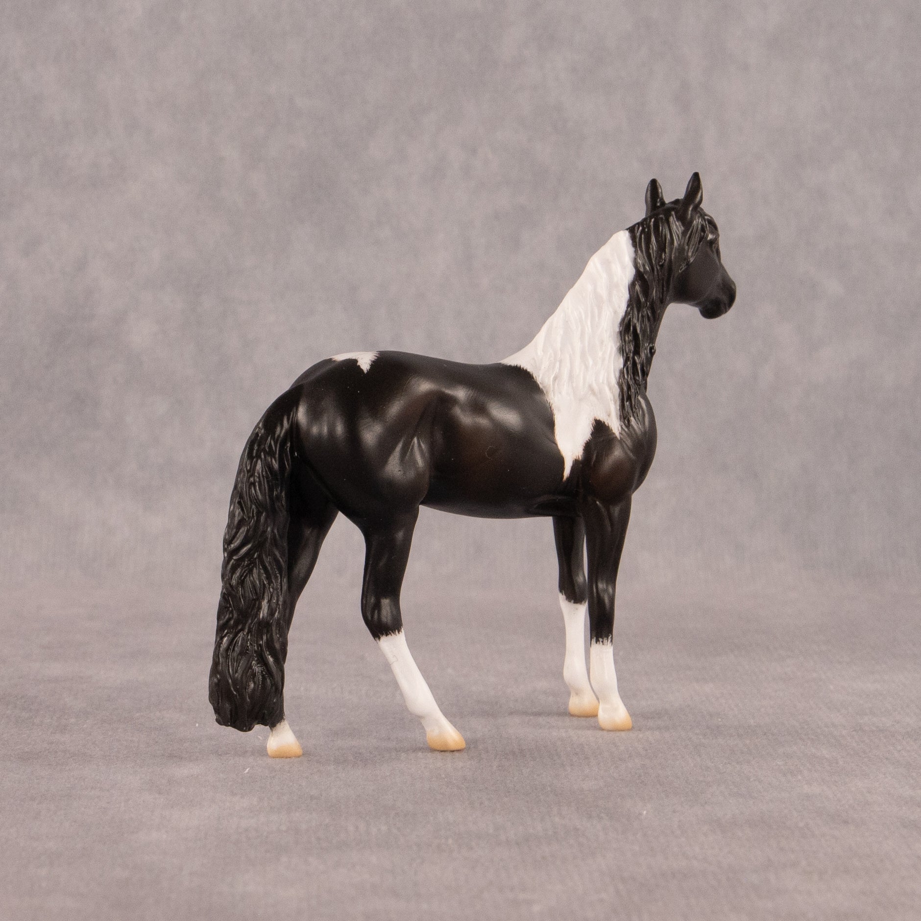Moose Trax OOAK Chip Andalusian by Madi Wiseman EQ26