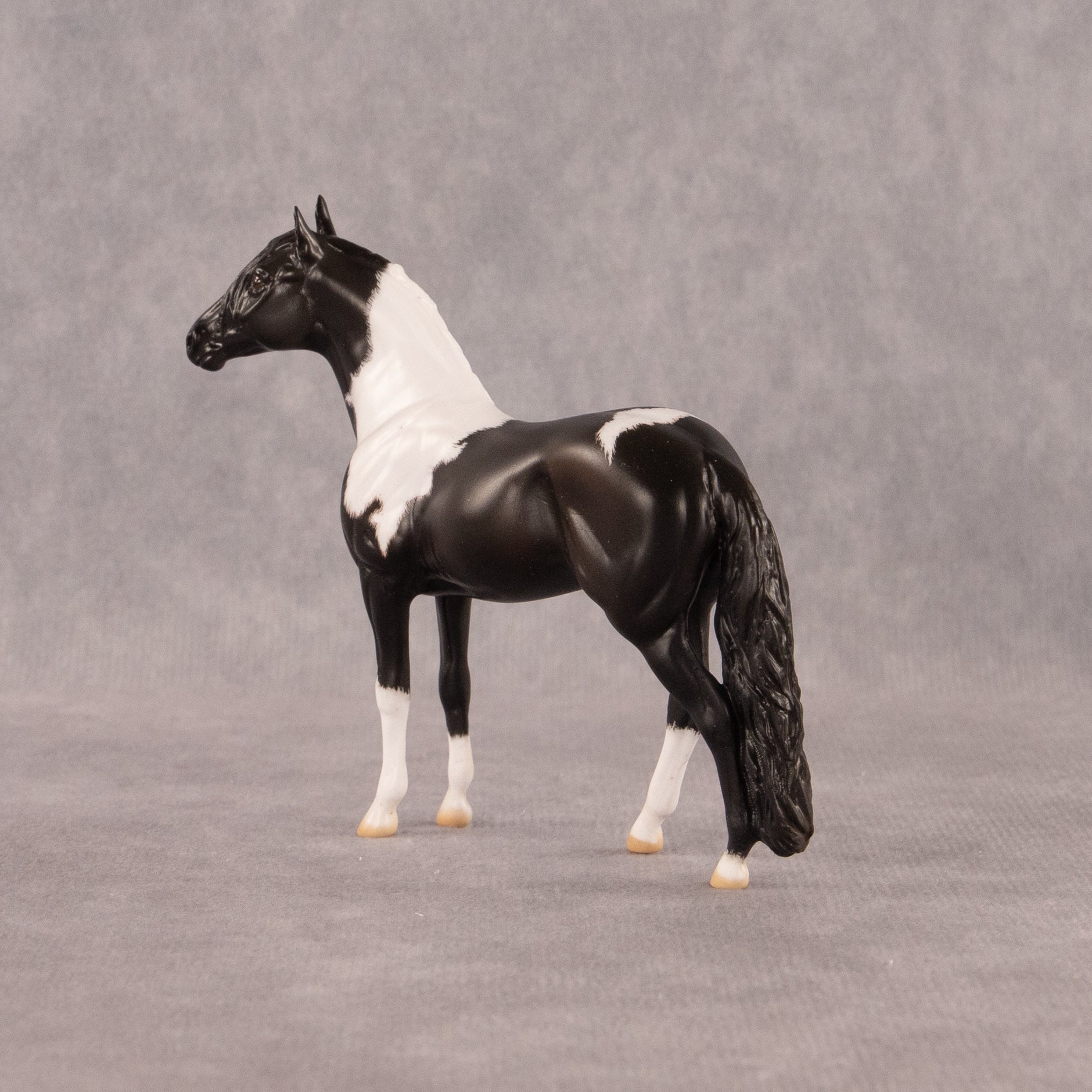 Moose Trax OOAK Chip Andalusian by Madi Wiseman EQ26