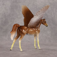 Mordecai OOAK FCM Chip Arabian by Angela Marleau FTF26