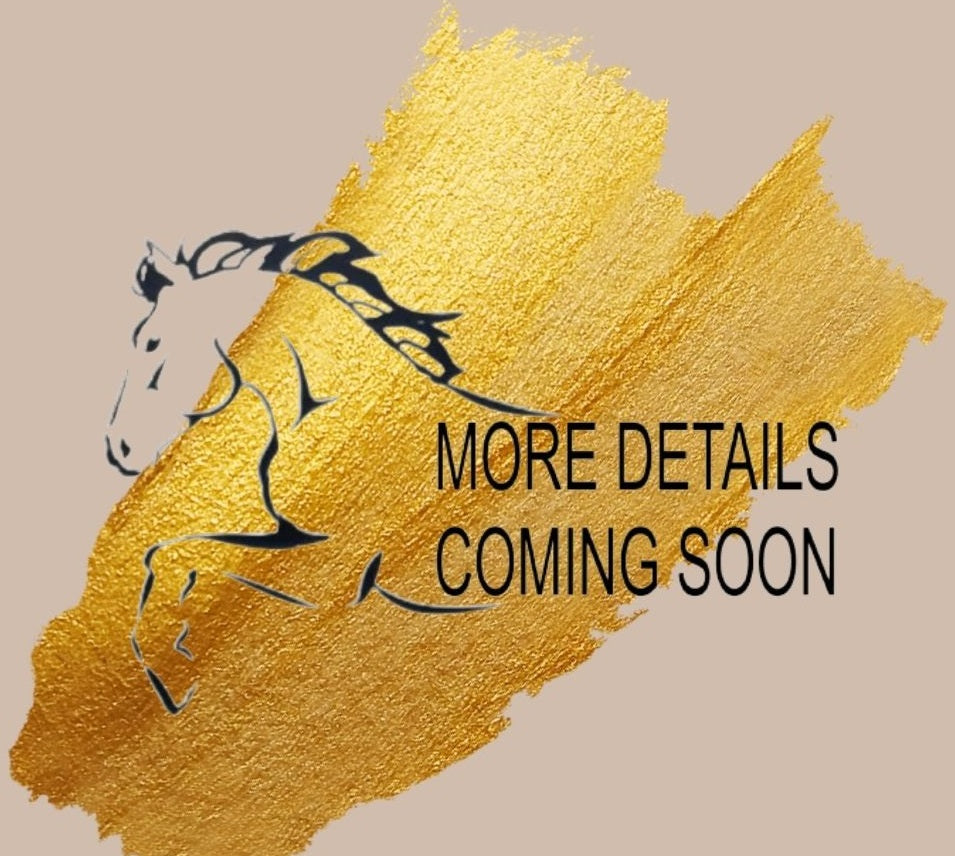 Raventower OOAK Custom Morgan with Wings By Ellen Robbins Based Off of AotH Entry By Leah Smith EQ24 BEST OFFER 7/16/24