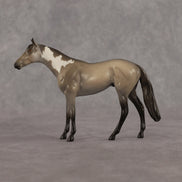 Mouse LE-5 Chip Thoroughbred by Anna Rieck June $99 Chips