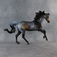 Ms. Macchiato OOAK FCM Harmony by Anna Rieck 6.12.2026 GS26