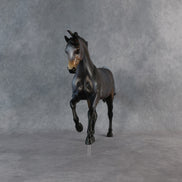 Ms. Macchiato OOAK FCM Harmony by Anna Rieck 6.12.2026 GS26
