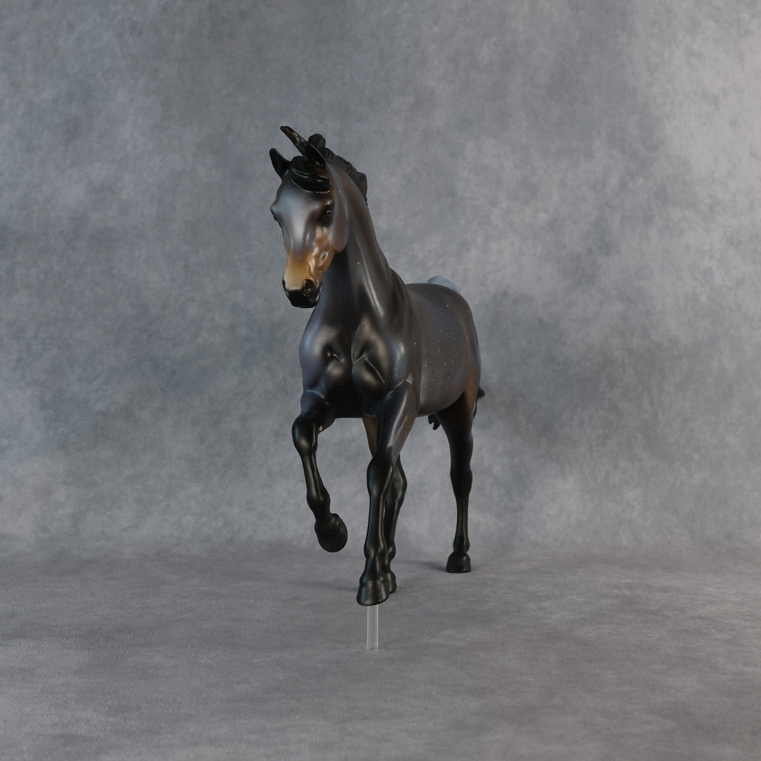 Ms. Macchiato OOAK FCM Harmony by Anna Rieck 6.12.2026 GS26