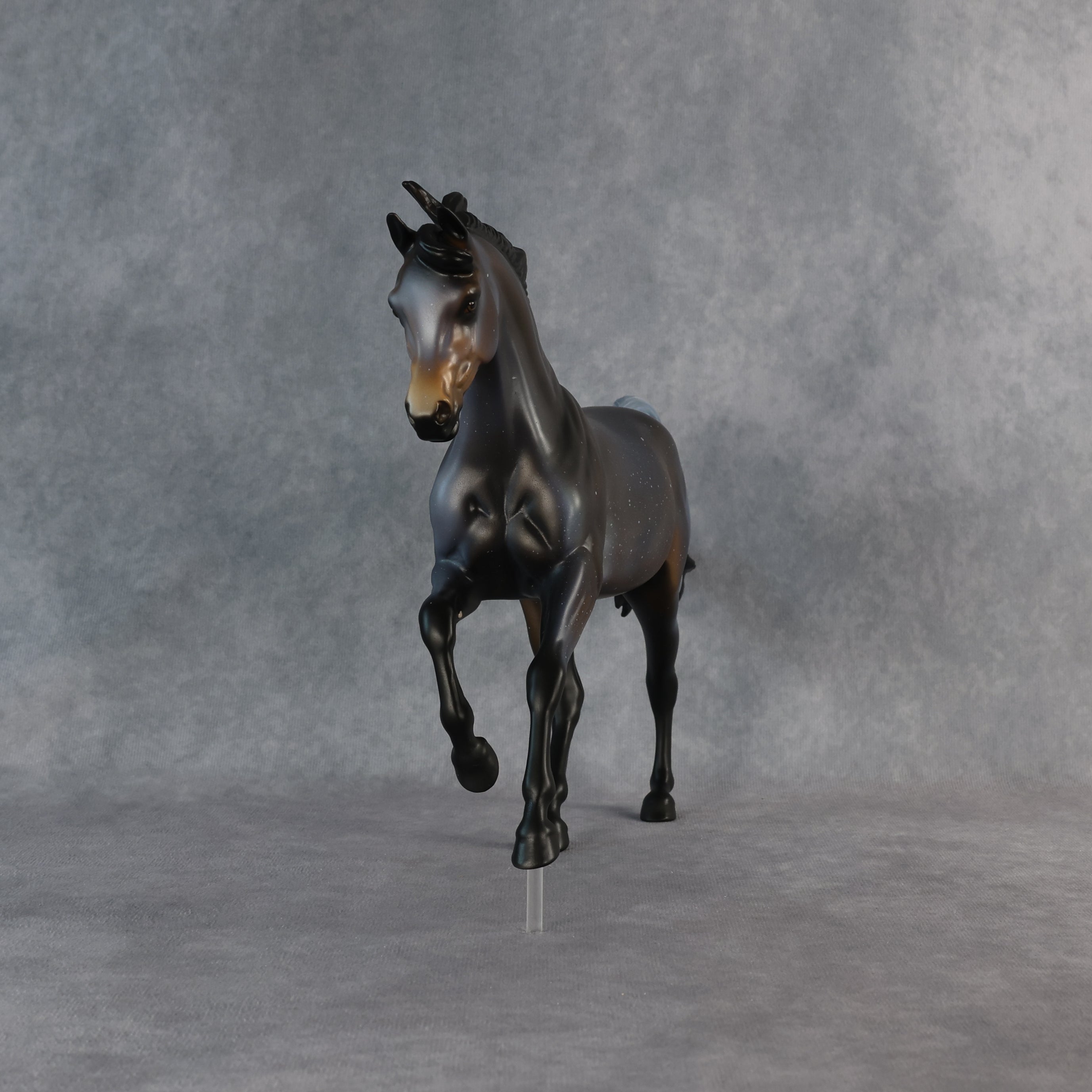 Ms. Macchiato OOAK FCM Harmony by Anna Rieck 6.12.2026 GS26