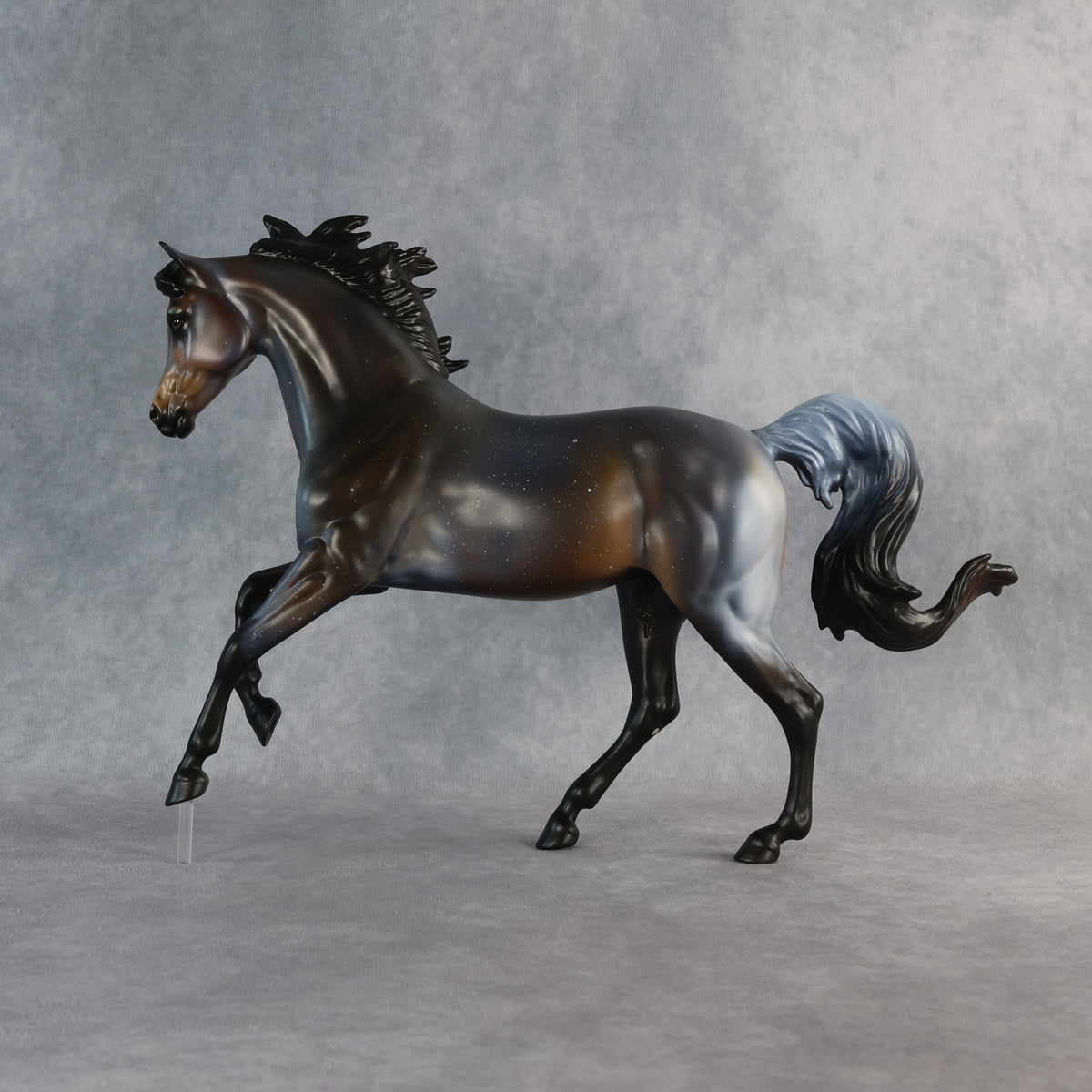Ms. Macchiato OOAK FCM Harmony by Anna Rieck 6.12.2026 GS26