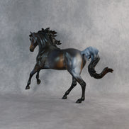 Ms. Macchiato OOAK FCM Harmony by Anna Rieck 6.12.2026 GS26