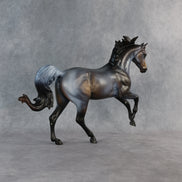 Ms. Macchiato OOAK FCM Harmony by Anna Rieck 6.12.2026 GS26