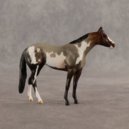 Mudflap & Dusty OOAK Chip FCM Stock Horse & Chip Foal by Anna Rieck SCD26