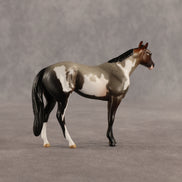 Mudflap & Dusty OOAK Chip FCM Stock Horse & Chip Foal by Anna Rieck SCD26