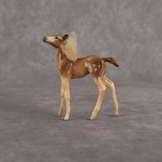 Muriel OOAK FCM Chip Foal by Angela Marleau FTF26