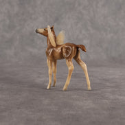 Muriel OOAK FCM Chip Foal by Angela Marleau FTF26
