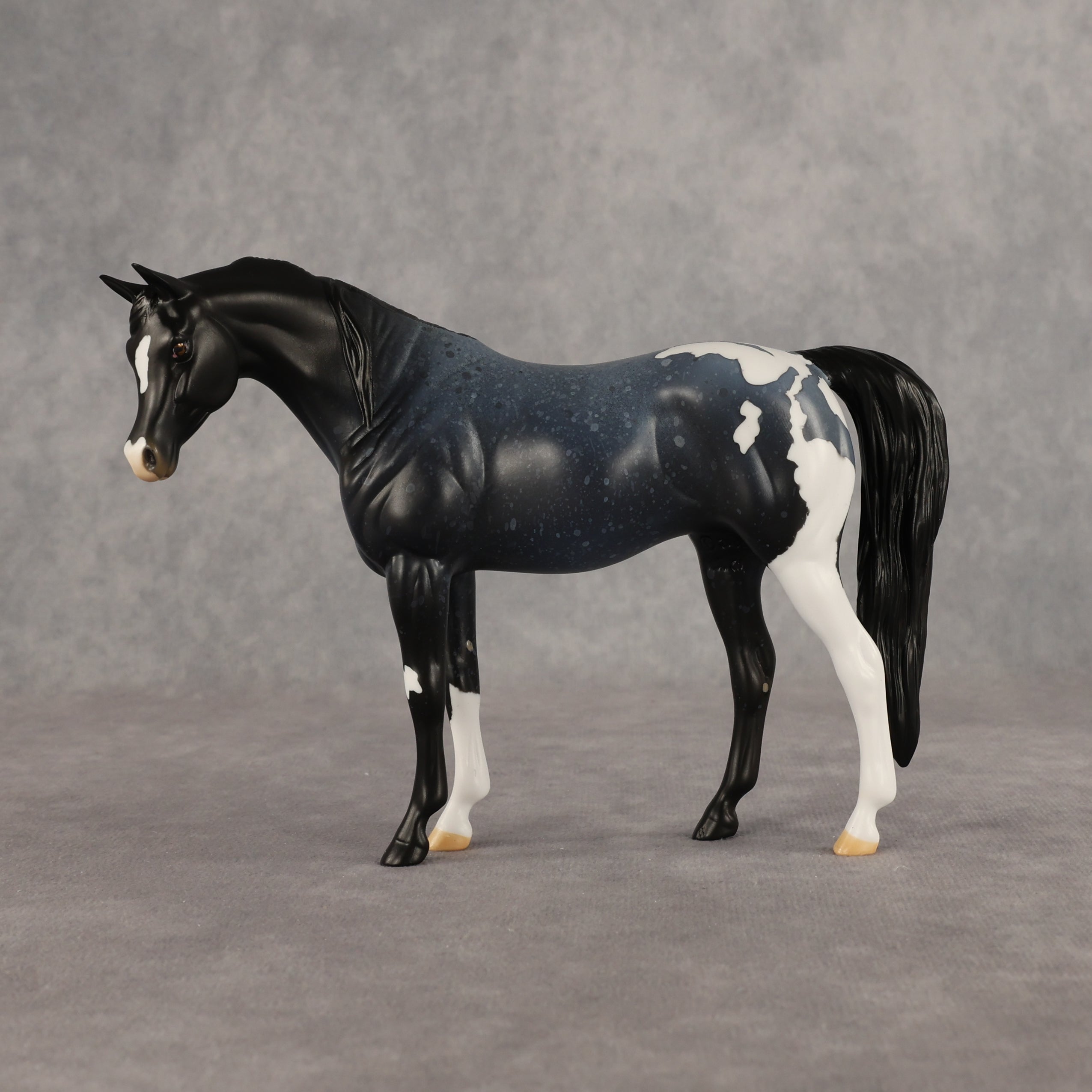 Murky Explorer OOAK Pebble Arabian Mare by Alex Fortman EQ26