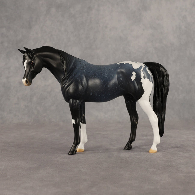 Murky Explorer OOAK Pebble Arabian Mare by Alex Fortman EQ26