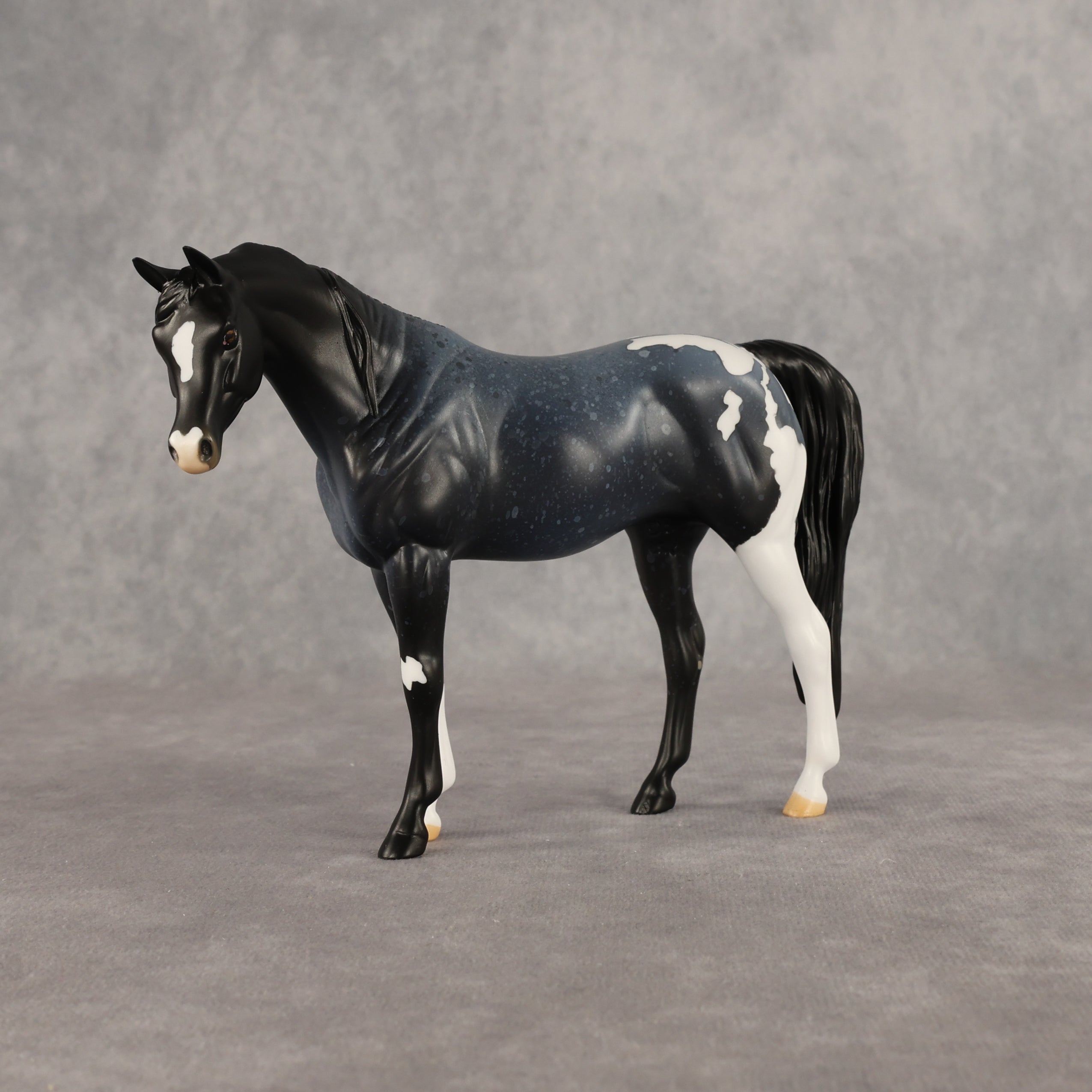 Murky Explorer OOAK Pebble Arabian Mare by Alex Fortman EQ26