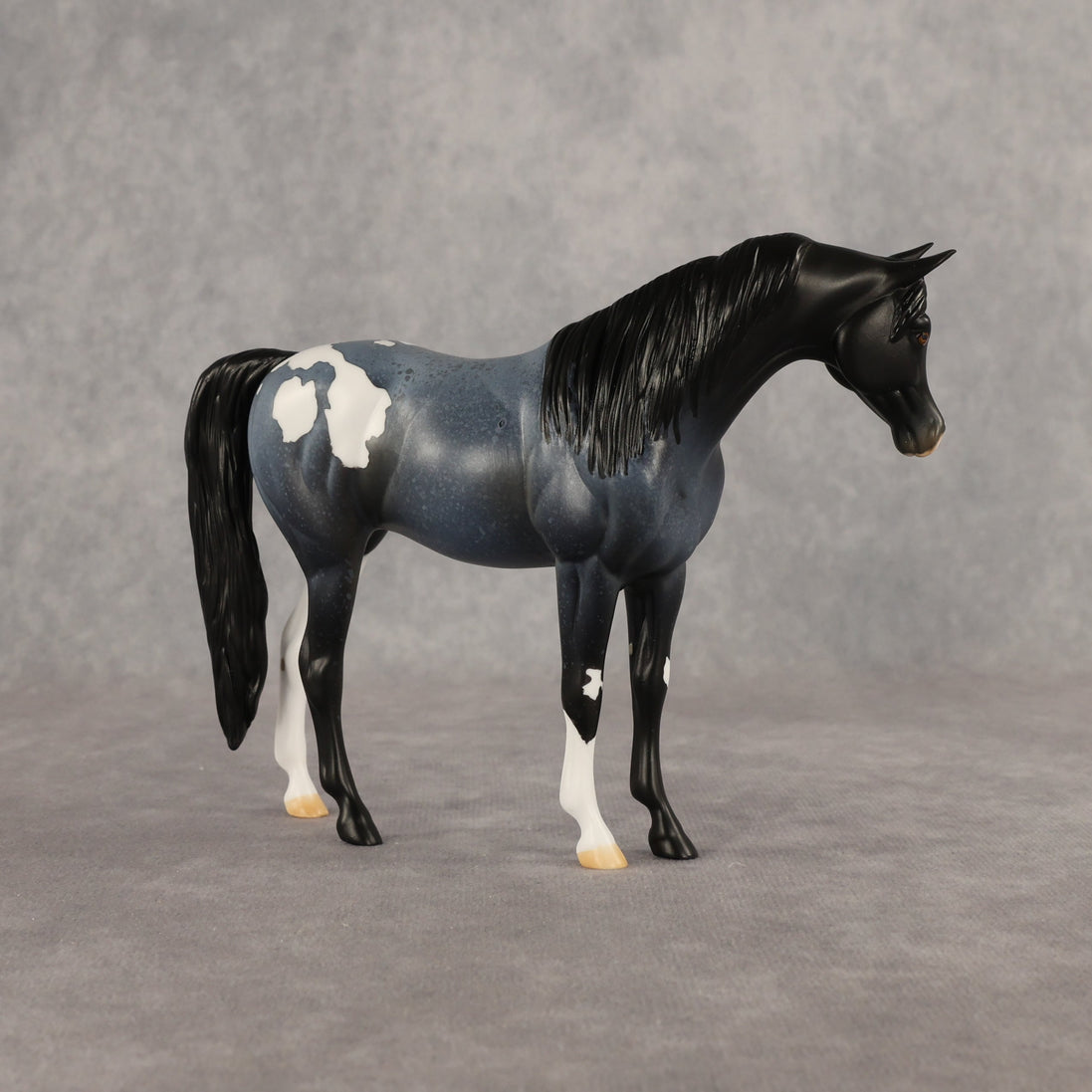 Murky Explorer OOAK Pebble Arabian Mare by Alex Fortman EQ26