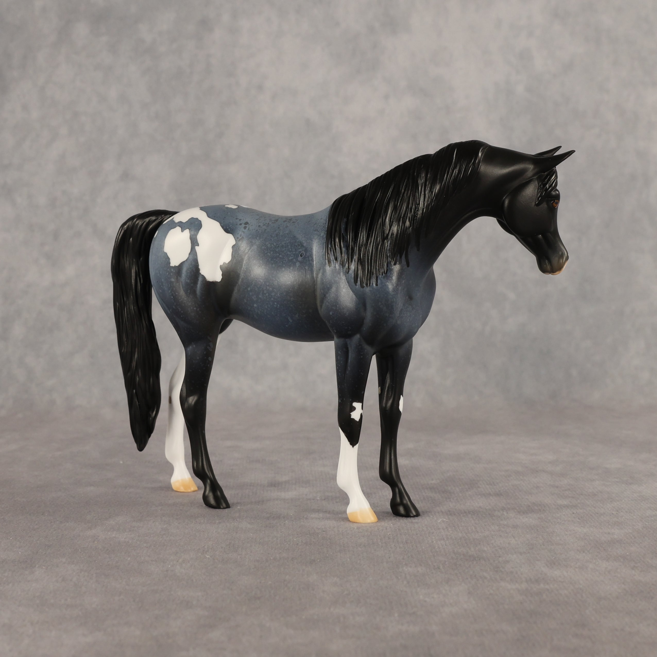 Murky Explorer OOAK Pebble Arabian Mare by Alex Fortman EQ26