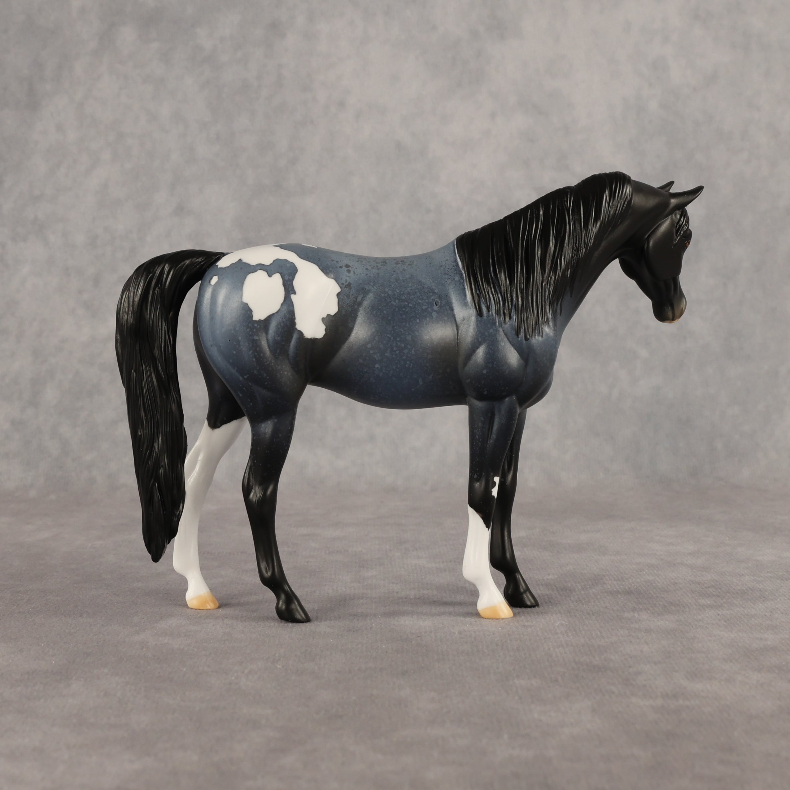 Murky Explorer OOAK Pebble Arabian Mare by Alex Fortman EQ26