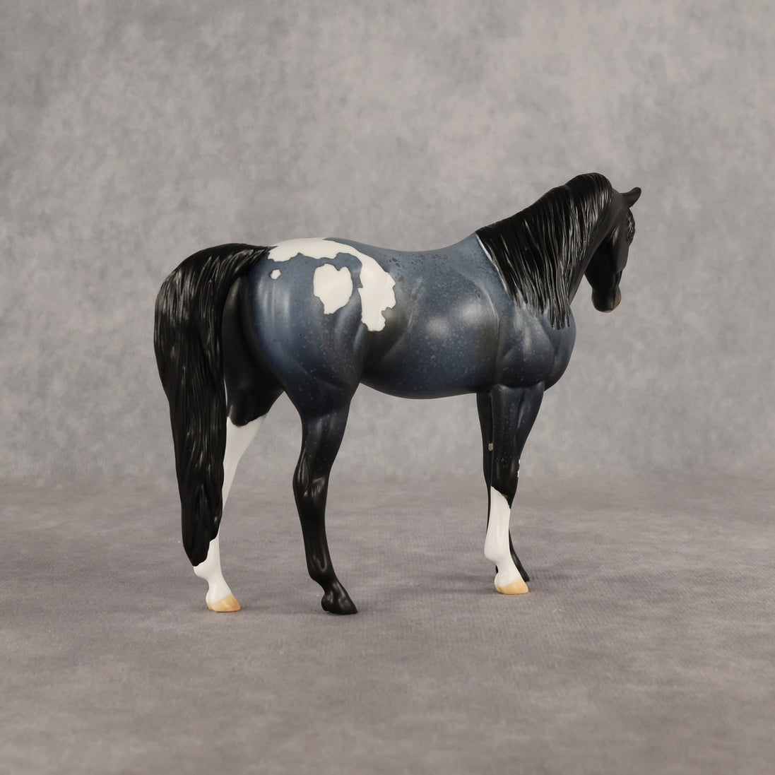 Murky Explorer OOAK Pebble Arabian Mare by Alex Fortman EQ26