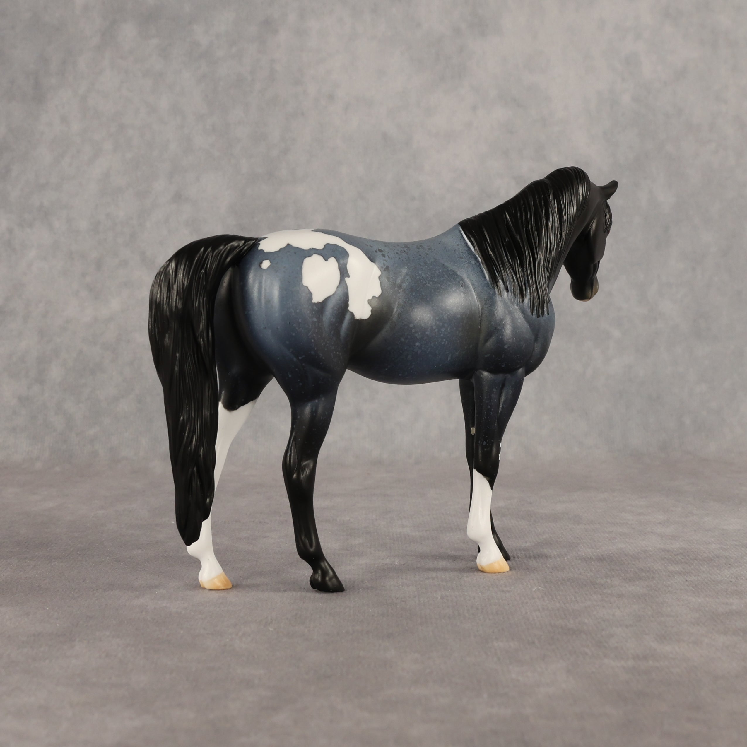 Murky Explorer OOAK Pebble Arabian Mare by Alex Fortman EQ26