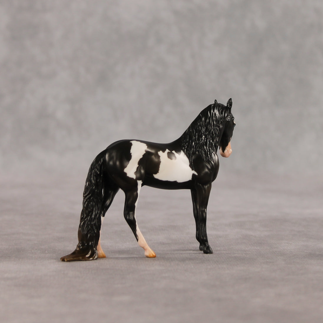 My Son EFCM LE-10 Chip Andalusian by Melanie Miller TO26