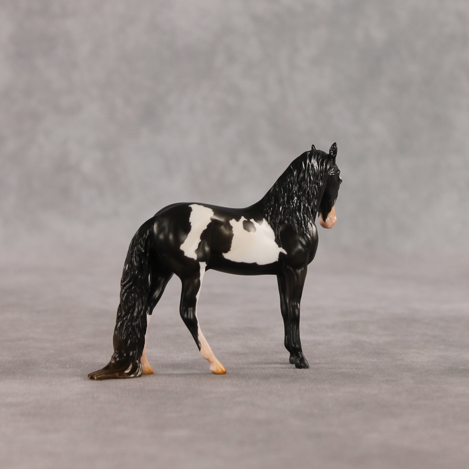 My Son EFCM LE-10 Chip Andalusian by Melanie Miller TO26