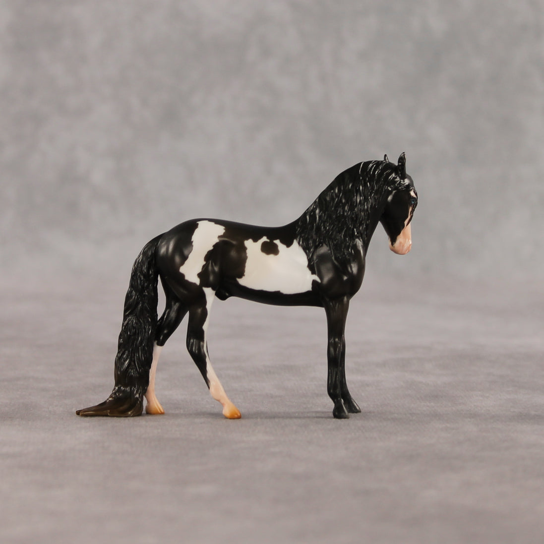 My Son EFCM LE-10 Chip Andalusian by Melanie Miller TO26
