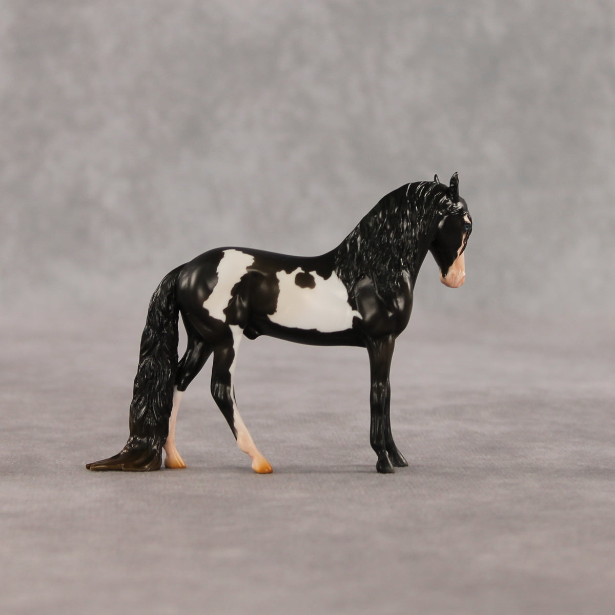 My Son EFCM LE-10 Chip Andalusian by Melanie Miller TO26