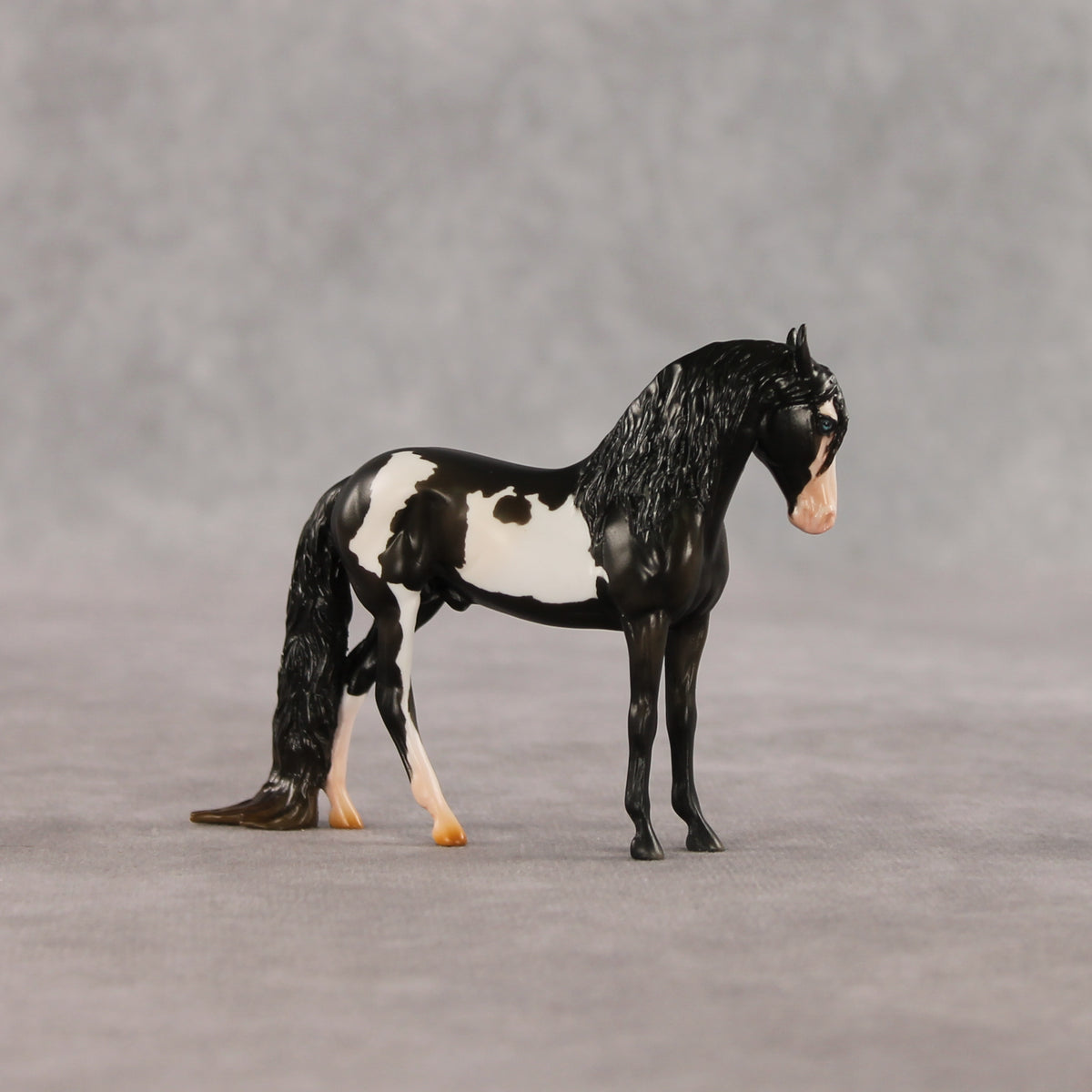 My Son EFCM LE-10 Chip Andalusian by Melanie Miller TO26