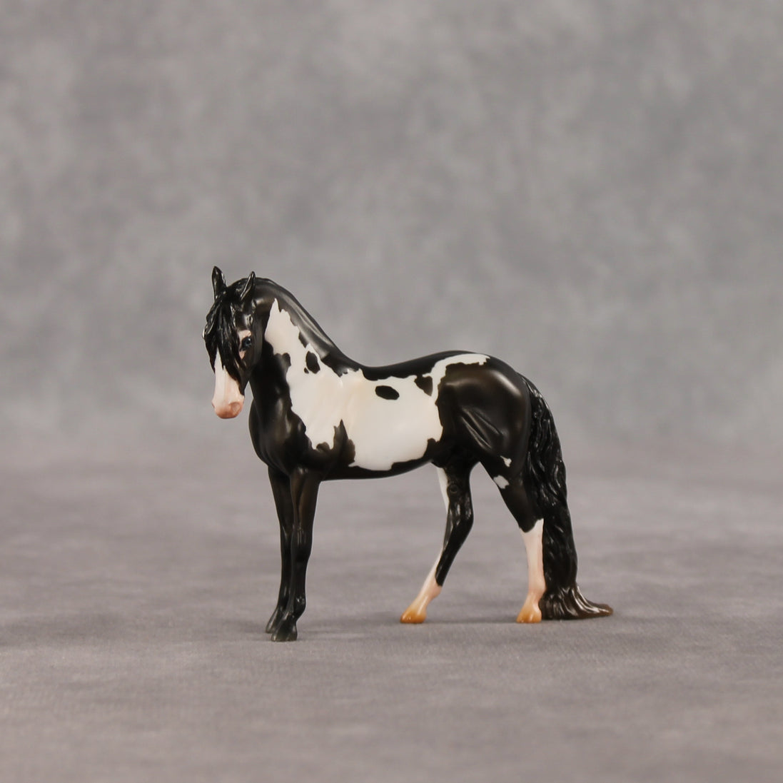 My Son EFCM LE-10 Chip Andalusian by Melanie Miller TO26