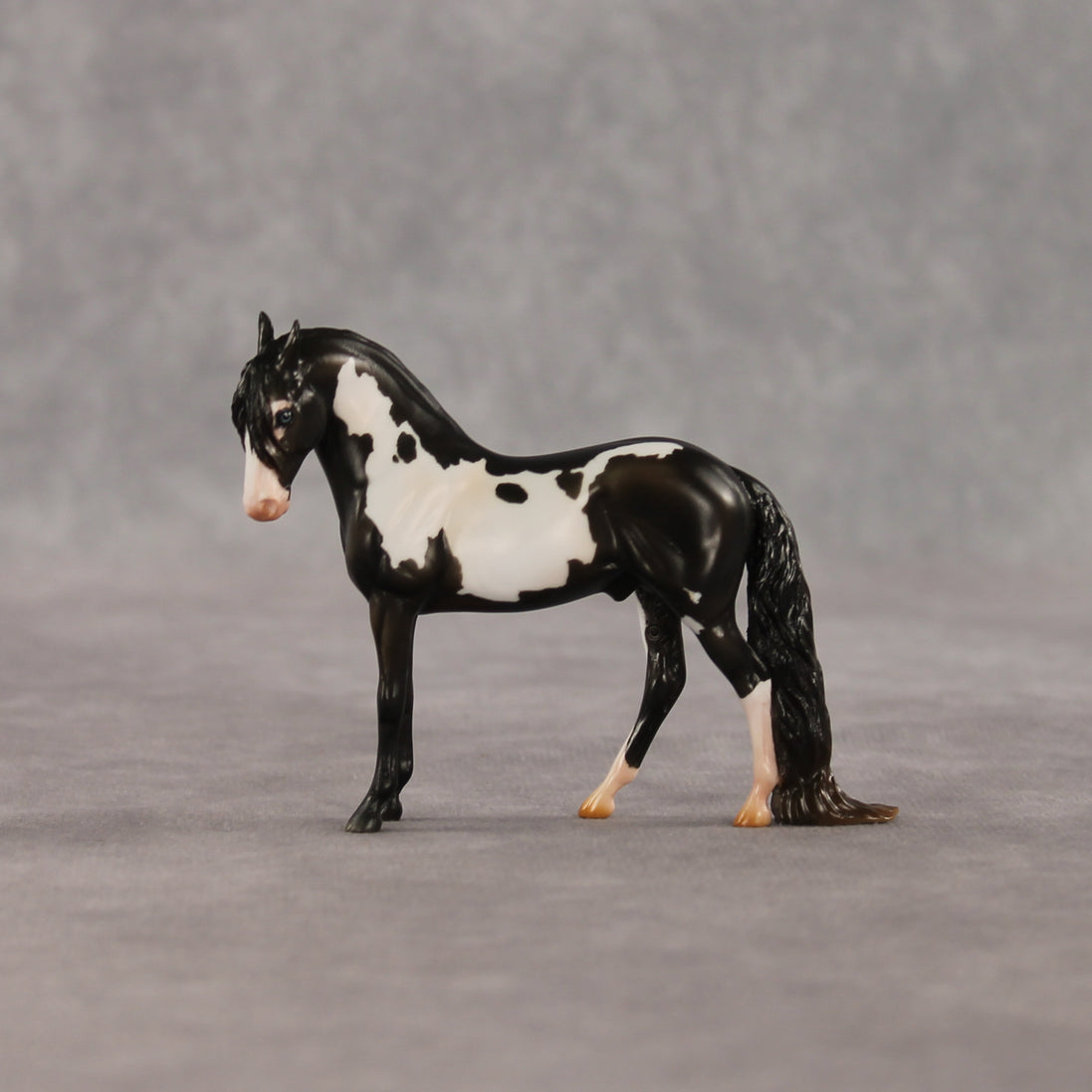 My Son EFCM LE-10 Chip Andalusian by Melanie Miller TO26