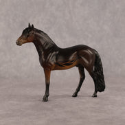 My Friends OOAK Chip Andalusian by Anna Rieck LHS26