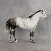 Mystic Vapor LE-15 FCM Ideal Stock Horse by Ellen Robbins YP26