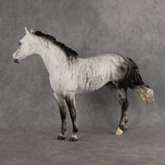 Mystic Vapor LE-15 FCM Ideal Stock Horse by Ellen Robbins YP26