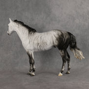 Mystic Vapor LE-15 FCM Ideal Stock Horse by Ellen Robbins YP26