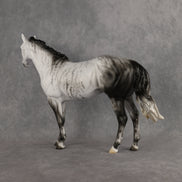 Mystic Vapor LE-15 FCM Ideal Stock Horse by Ellen Robbins YP26