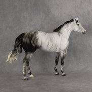 Mystic Vapor LE-15 FCM Ideal Stock Horse by Ellen Robbins YP26