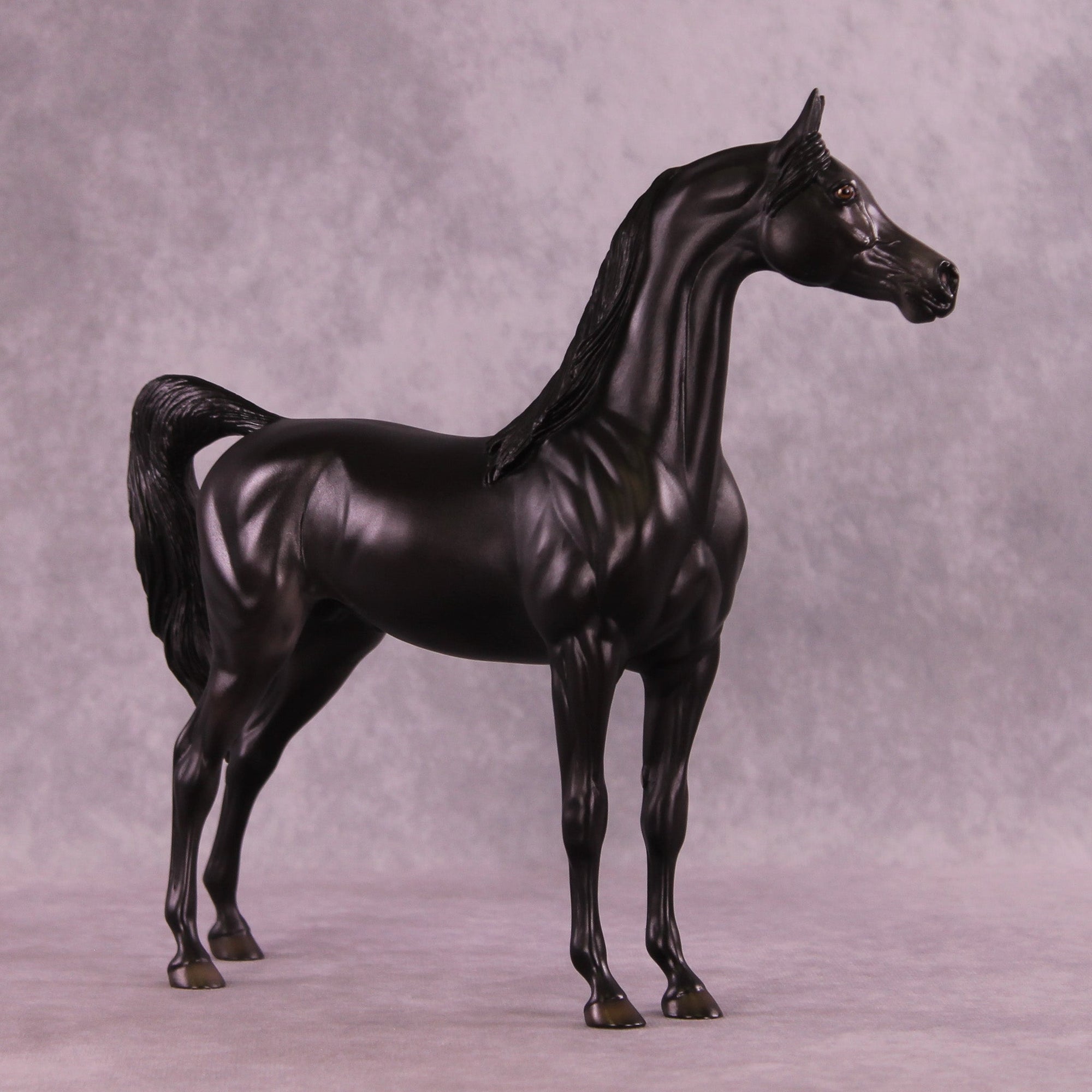 Nacht OOAK Arabian Stallion by Ellen Robbins MM25 Group A
