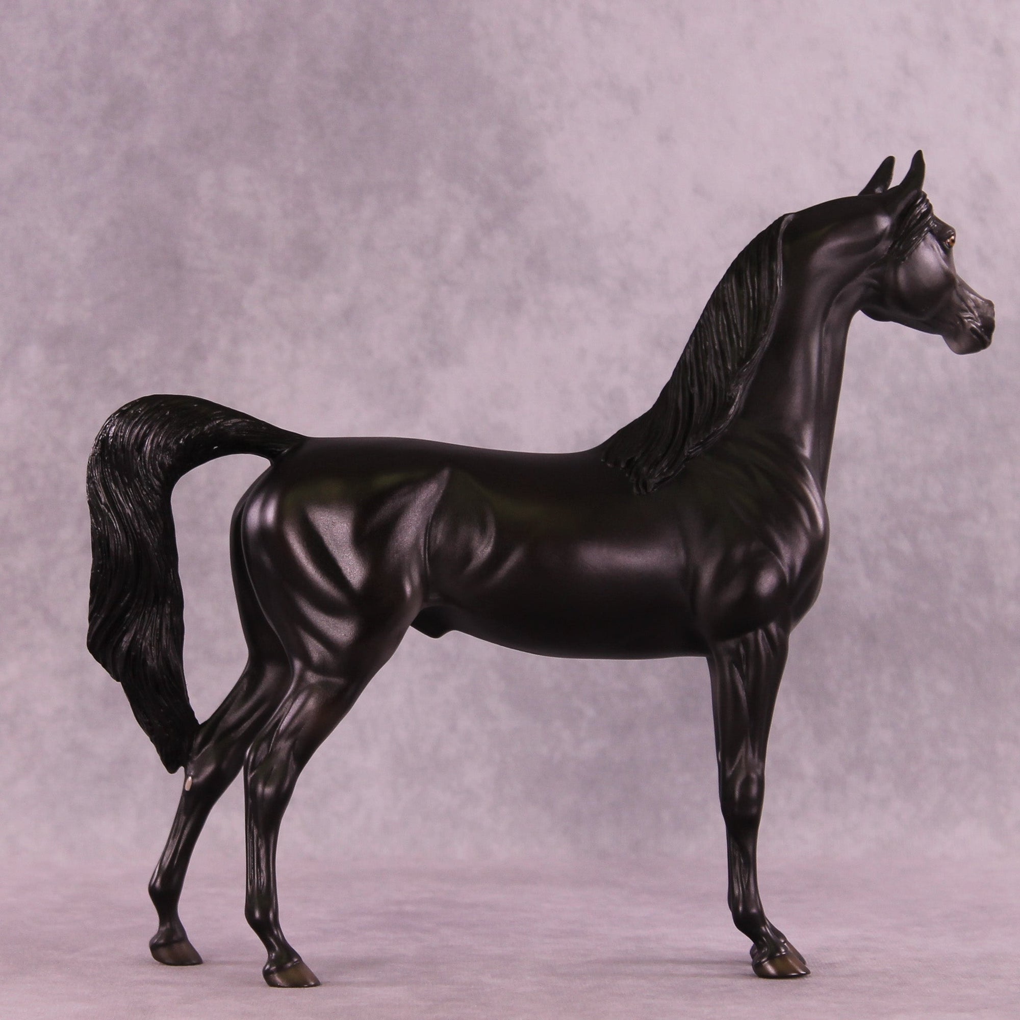 Nacht OOAK Arabian Stallion by Ellen Robbins MM25 Group A