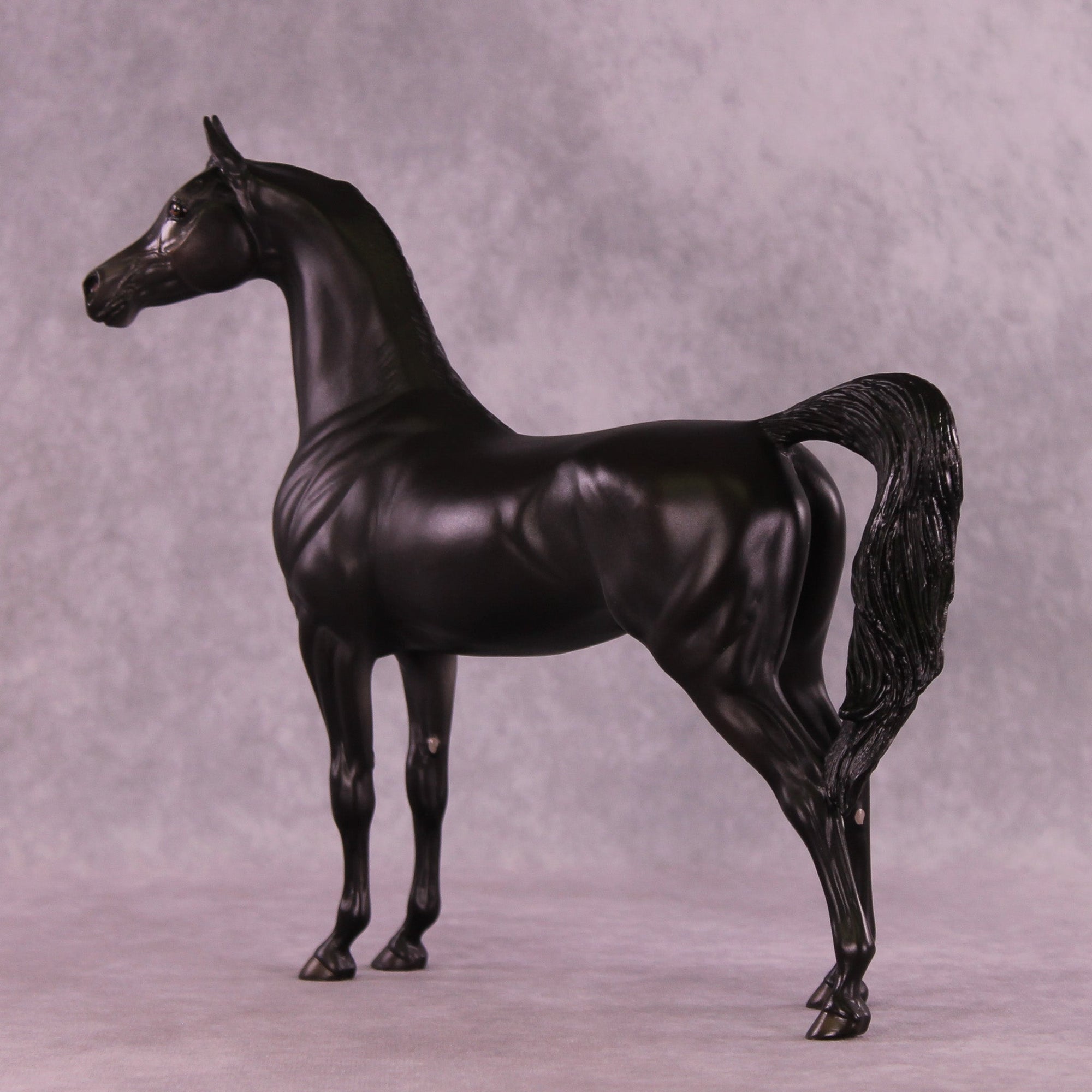 Nacht OOAK Arabian Stallion by Ellen Robbins MM25 Group A