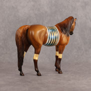 Nefentari OOAK Pebble Arabian Mare by Enrique Duarte WC26
